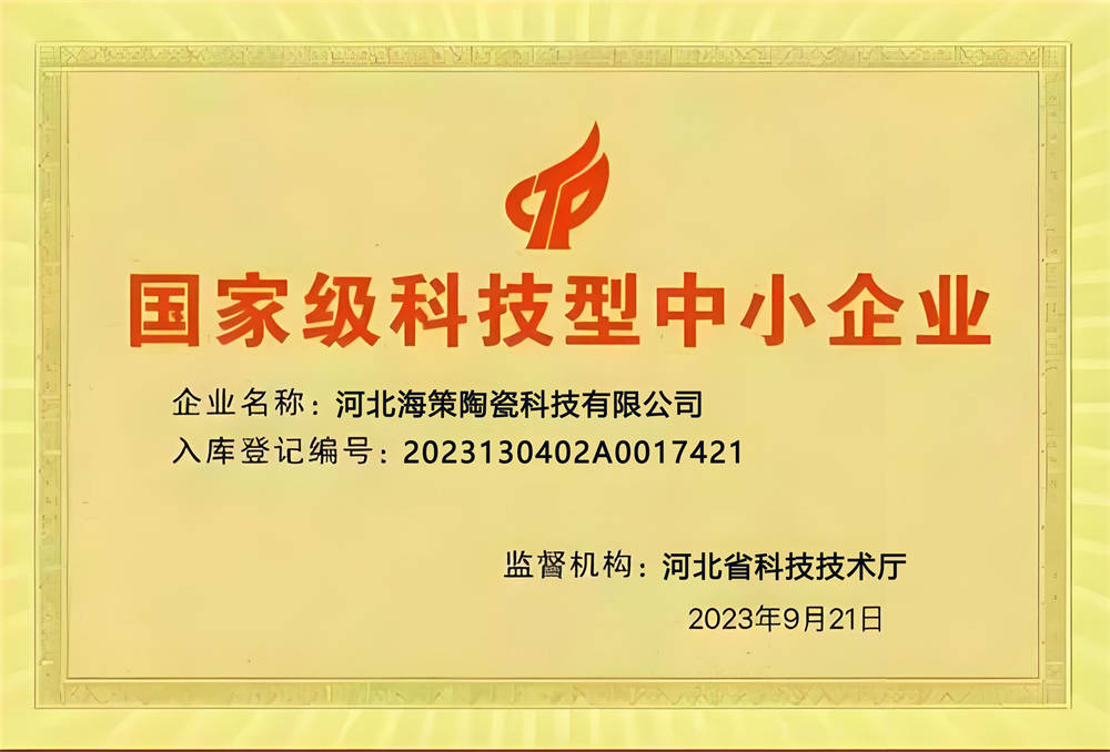 国家 级科技型中小企业